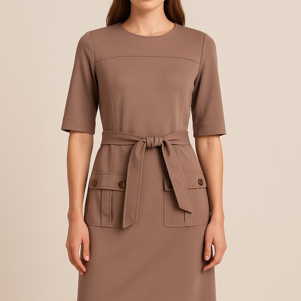 Ellen Tracy Belted Midi Dress in Khaki Colour